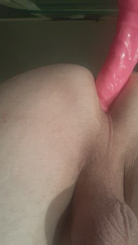 Asshole Dildo Sissy gif