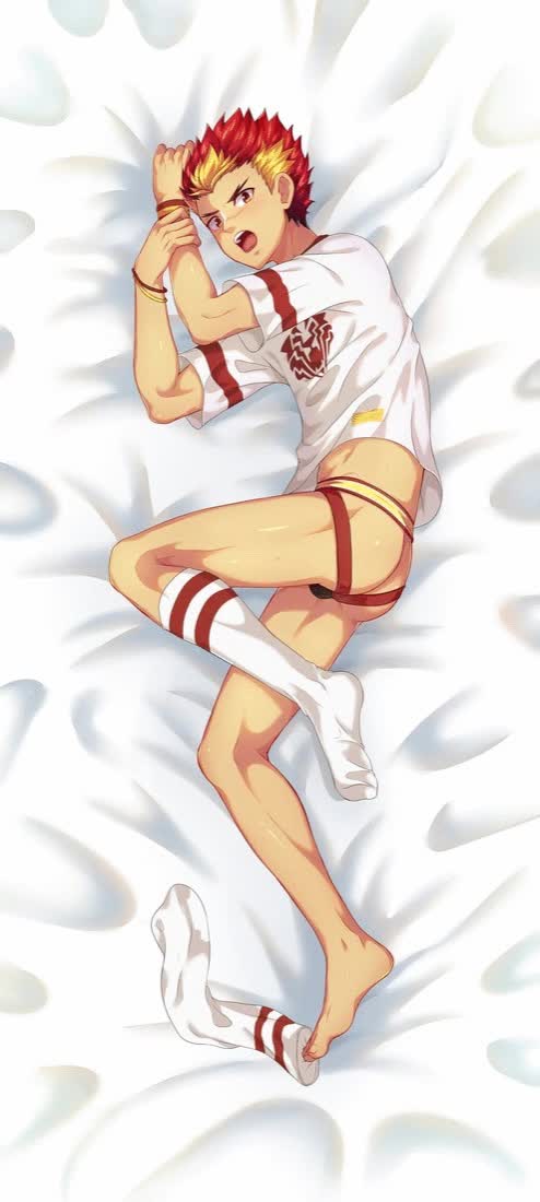 Taiga dakimakura back b