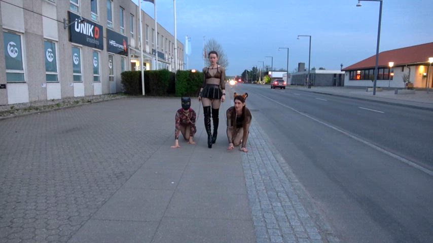 Miss Flora walks her two human pets down the street