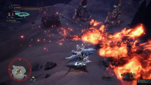 Not like this! please Teostra