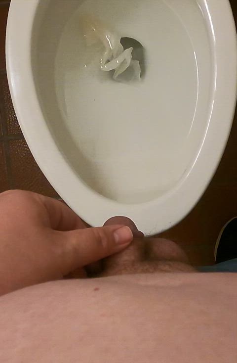masturbating pee peeing penis public shaved small cock tiny toilet gif