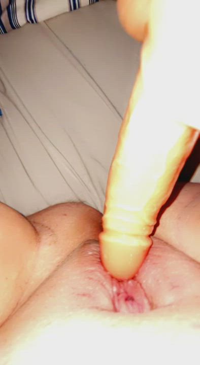 Dildo Pussy Shaved Pussy gif