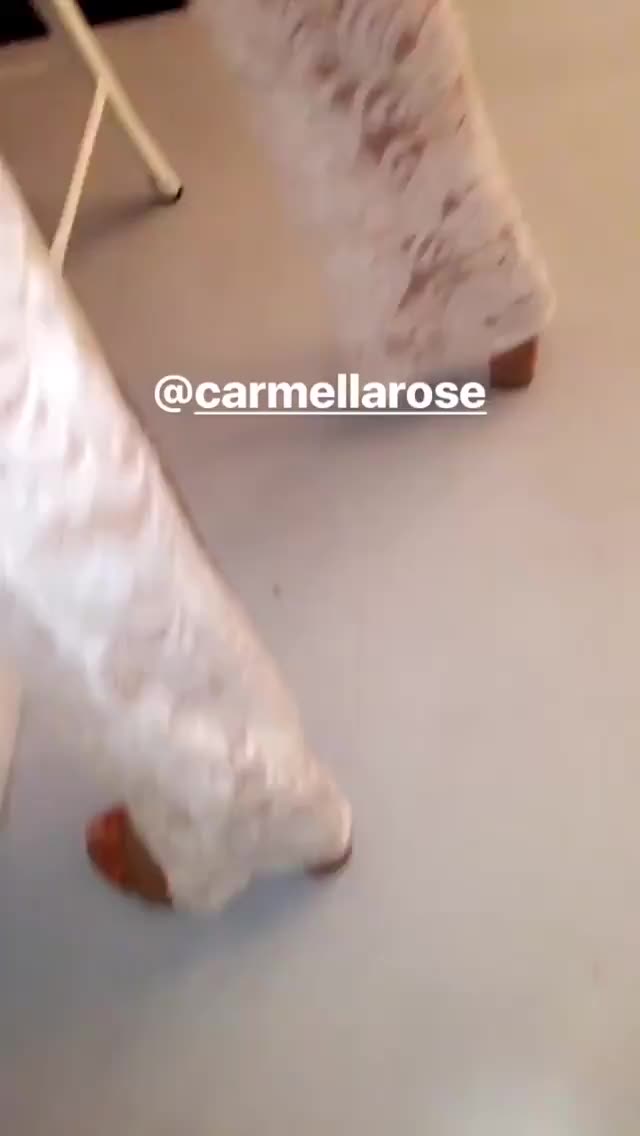Carmella Rose Dancing gif
