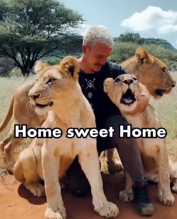 ripsave - Man sees lions again after 2 3 weeks