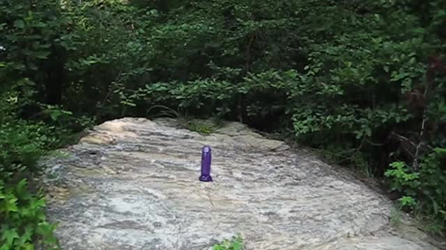 Purple Dildo Guy