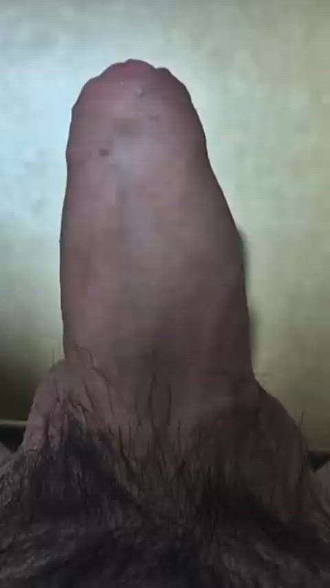 cock erection solo gif