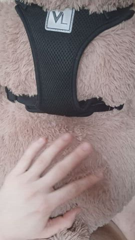 bear sex toy gif