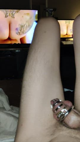 chastity cum cumshot hands free watching watchingporn gif