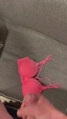 Cumming on my wife’s bra