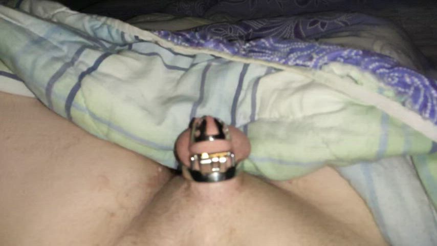 bdsm chastity micropenis gif