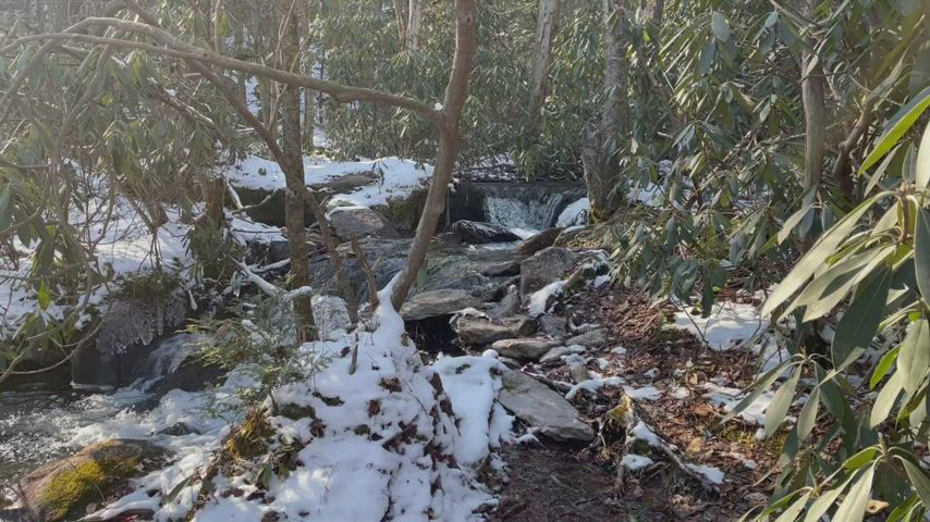 Mountain Creek &amp; Wintery Waterfalls II