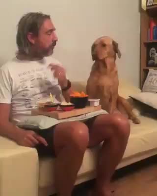 QUEM DISSE QUE ESTOU OLHANDO PRA SUA COMIDA?