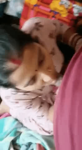 bhabi desi indian gif