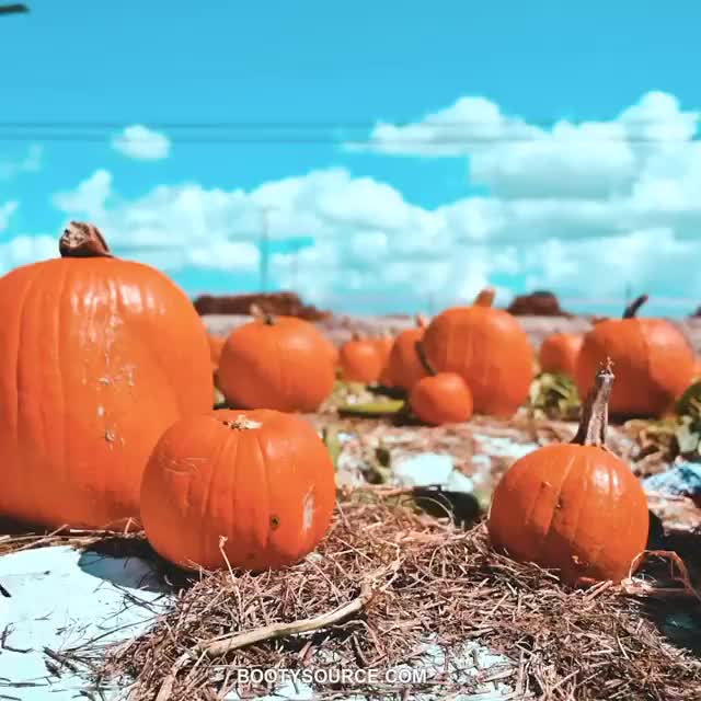 Pumpkin Ass
