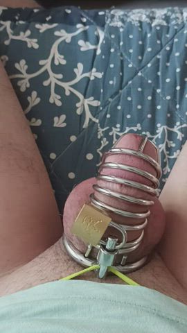Chastity Little Dick Tiny gif