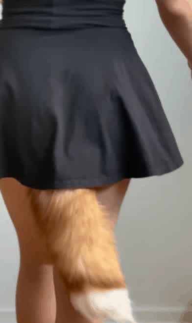 anal butt plug cute sexy skirt tail plug upskirt gif