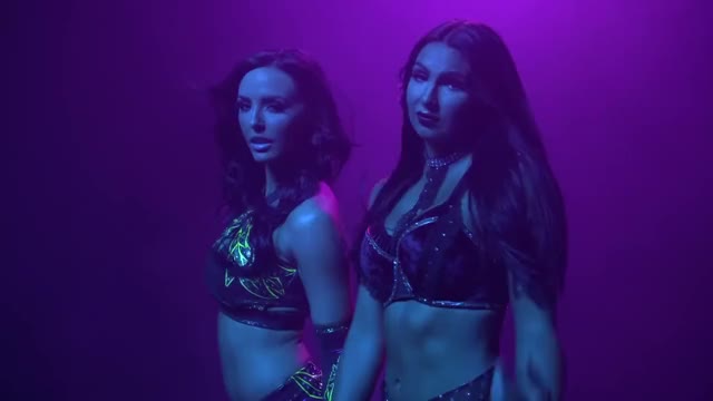 IIconic Evolution