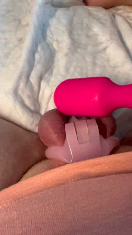 amateur caged dripping edging masturbating pee pink sissy slut gif