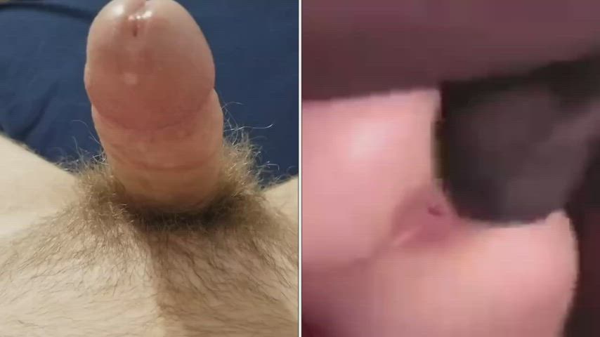 BBC Breeding Creampie Cuckold Cum Cumshot Humiliation Interracial Ruined Orgasm gif