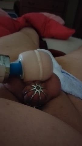 cum sissy chastity chastity belt gif