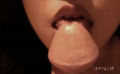 Amateur Blowjob Cum In Mouth gif