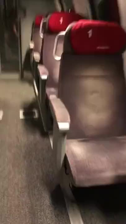 Dude gets caught getting a blowjob on the train
