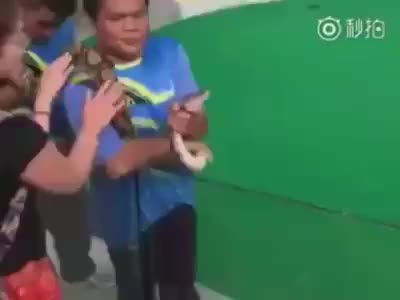 Kissing snake incident