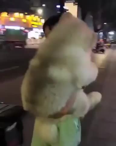 Carrying a teddy bear.
