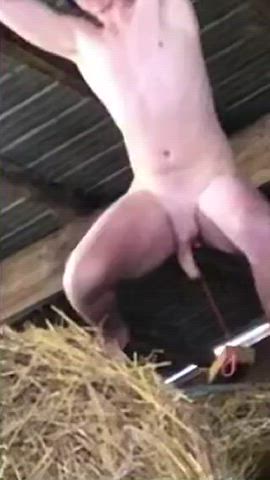 Amateur American BDSM Big Balls Big Dick Blowjob Funny Porn Naked Outdoor gif