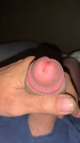 amateur big dick cumshot homemade jerk off solo gif