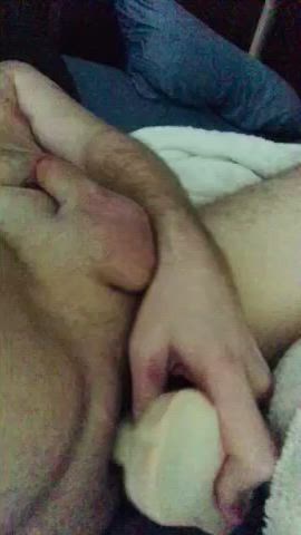 bisexual cub dildo gif