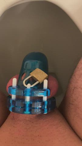 Blue Chastity Cock Mistress Penis Piss Pissing Sissy gif
