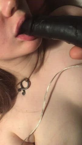 amateur blowjob dildo gif