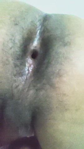 ass spread asshole gaping gay hairy ass gif