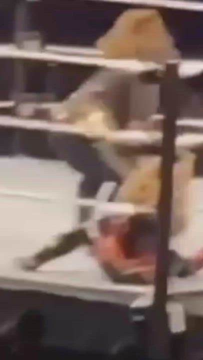 Big Ass Celebrity Twerking Wrestling gif