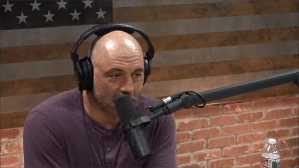 Tesla Face Joe Rogan