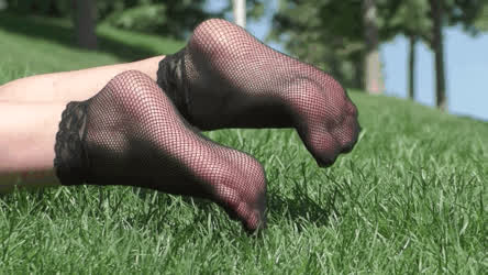 Feet Feet Fetish Fishnet Foot Fetish Legs Socks gif