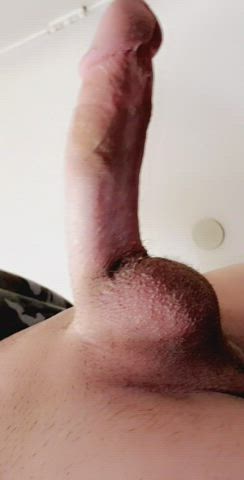 bwc big dick bisexual twink gif