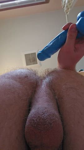 anal ass balls dildo gape gay hairy ass solo gif