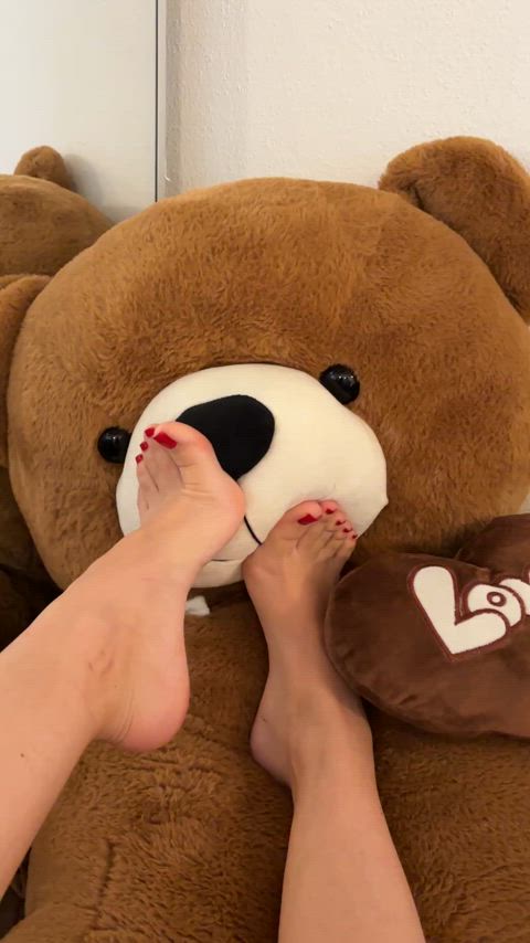 Mr. Bear sniffing my toes