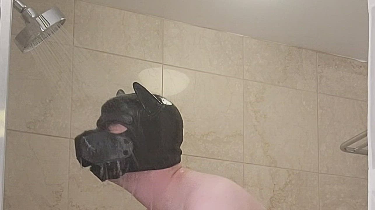 Cleaning my neoprene pup hood in the shower. Do you clean hoods a different way?