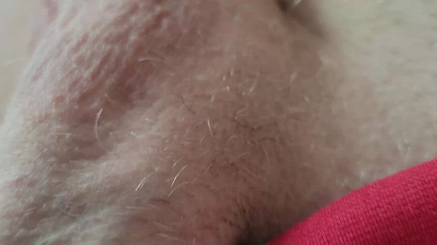 Cock tip close up