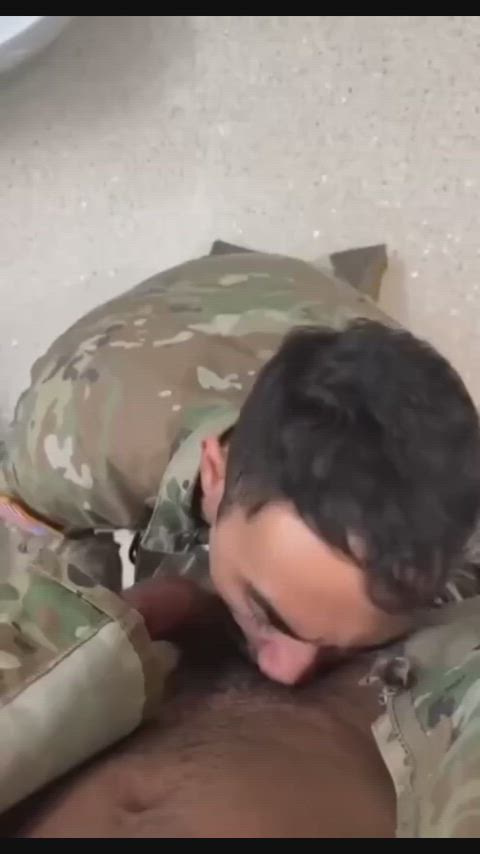 blowjob military sucking gif