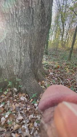 POV - Penis of View