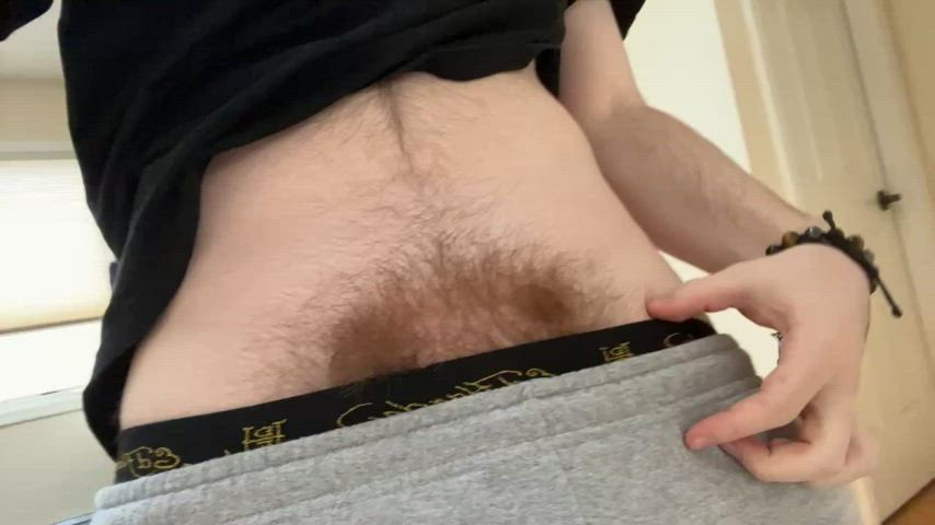 big dick hairy hairy cock gif