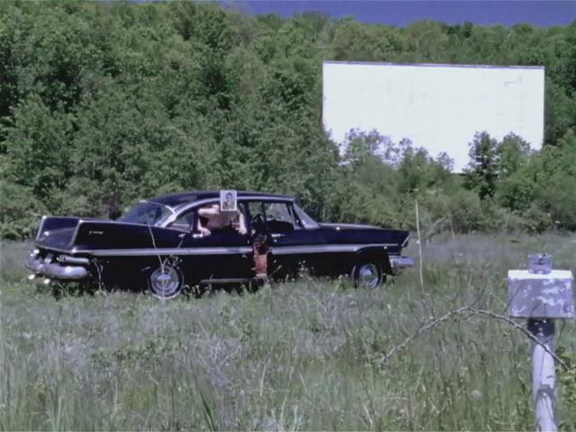 car sex cinema model swedish topless gif