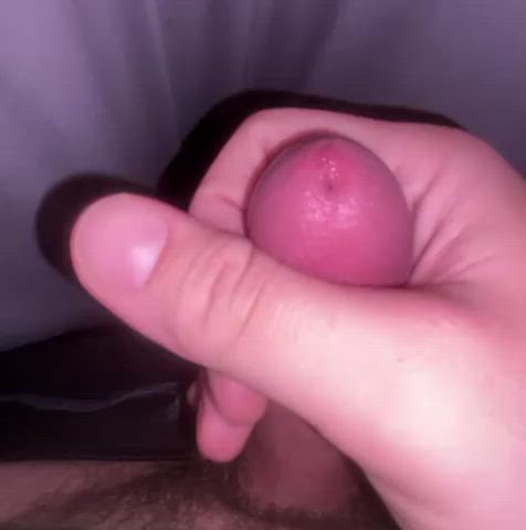 cock edging masturbating nsfw penis gif