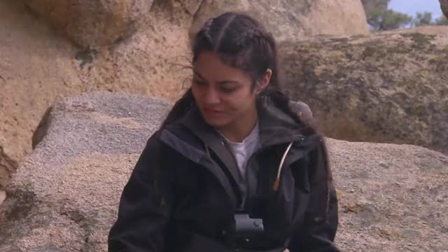 Vanessa Hudgens - Running Wild Porn GIF by achaewa | RedGIFs