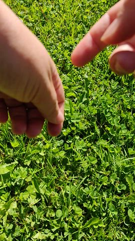 Fingering Softcore Solo gif
