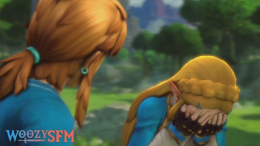 TLOZ Zelda Wants Some Good Anal 3D Hentai